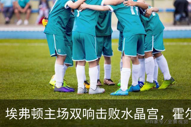 埃弗顿主场双响击败水晶宫，霍尔与蒂尔诺-巴里齐发威